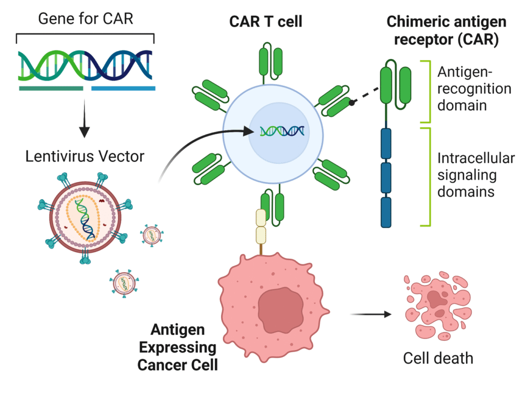 CAR-T cell diagram