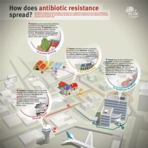 Combating Antibiotic Resistance: Strategies and Solutions